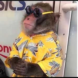 Meet your Posher, Charles